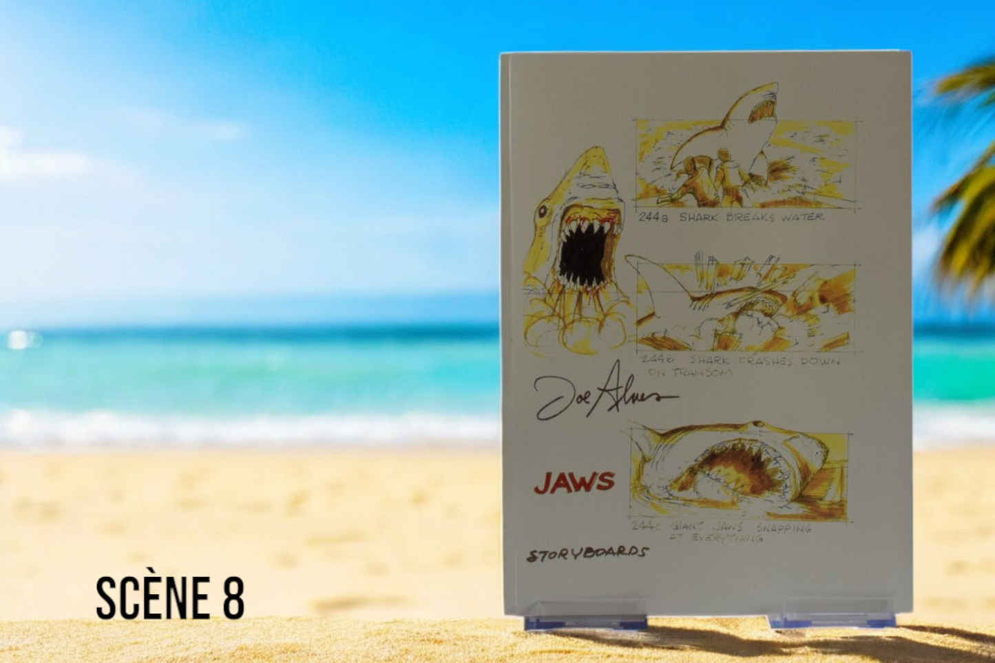 Requins en storyboard