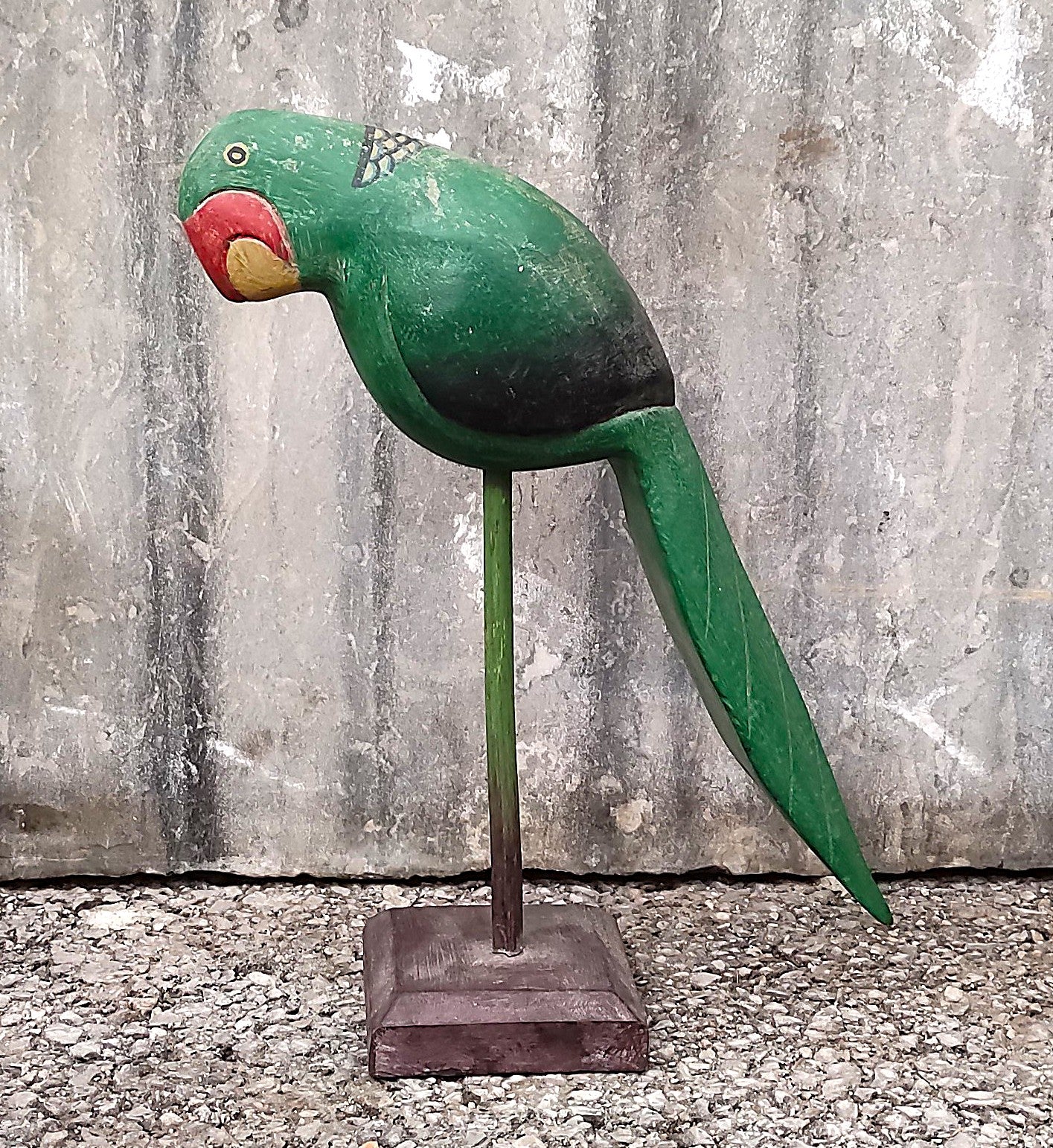 Perroquet de compagnie