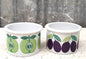 Duo de pots à motifs fruités