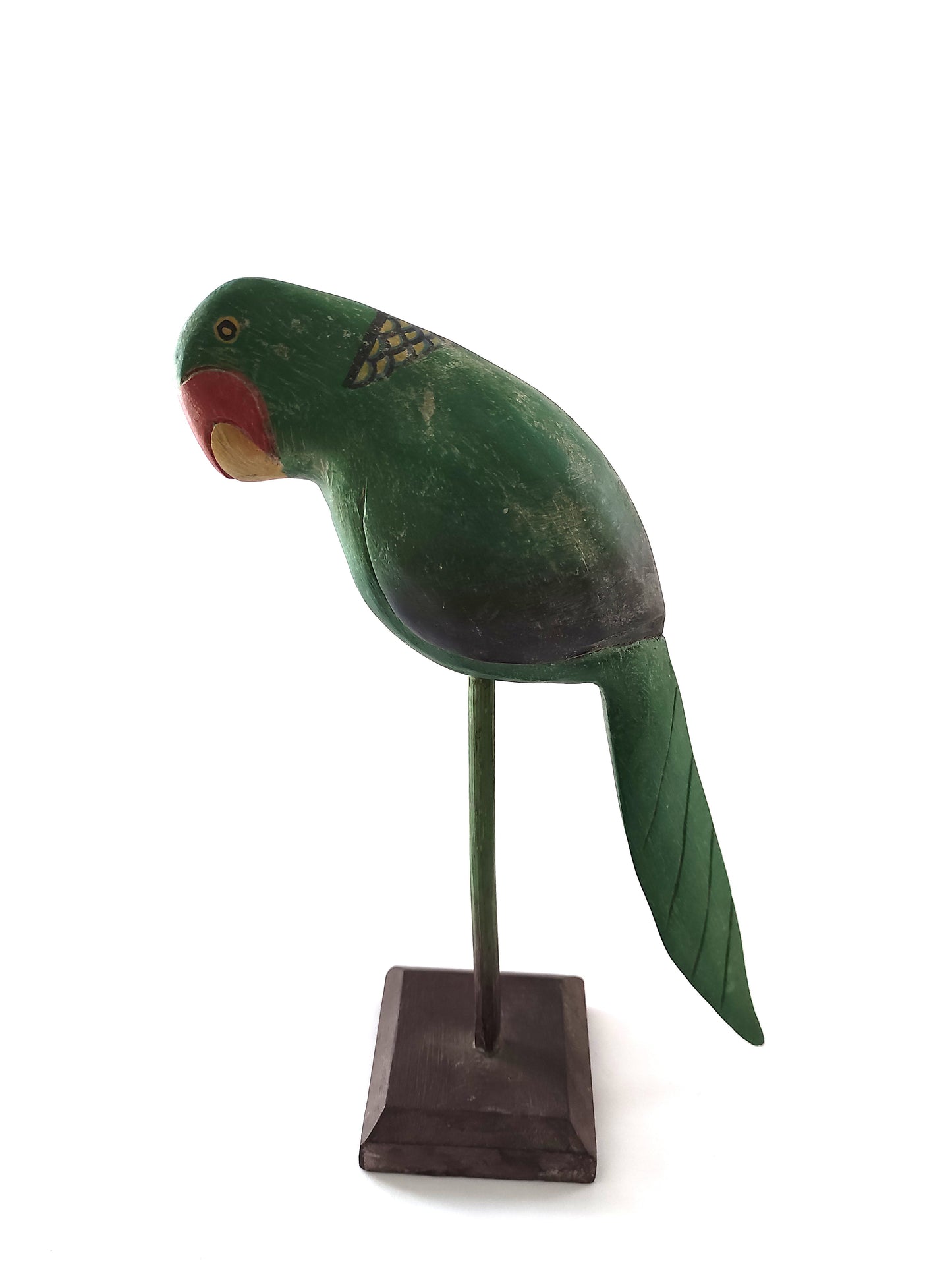 Perroquet de compagnie