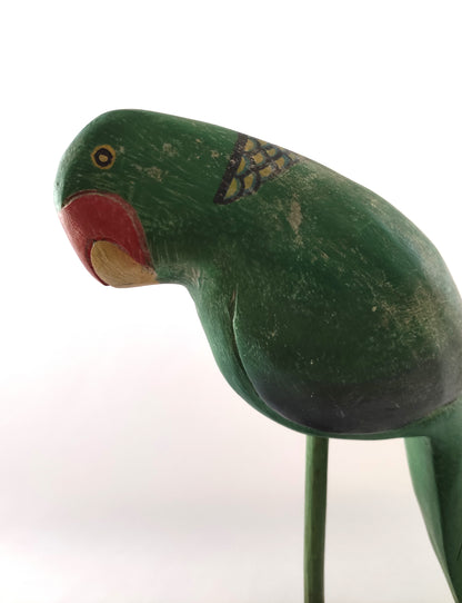 Perroquet de compagnie