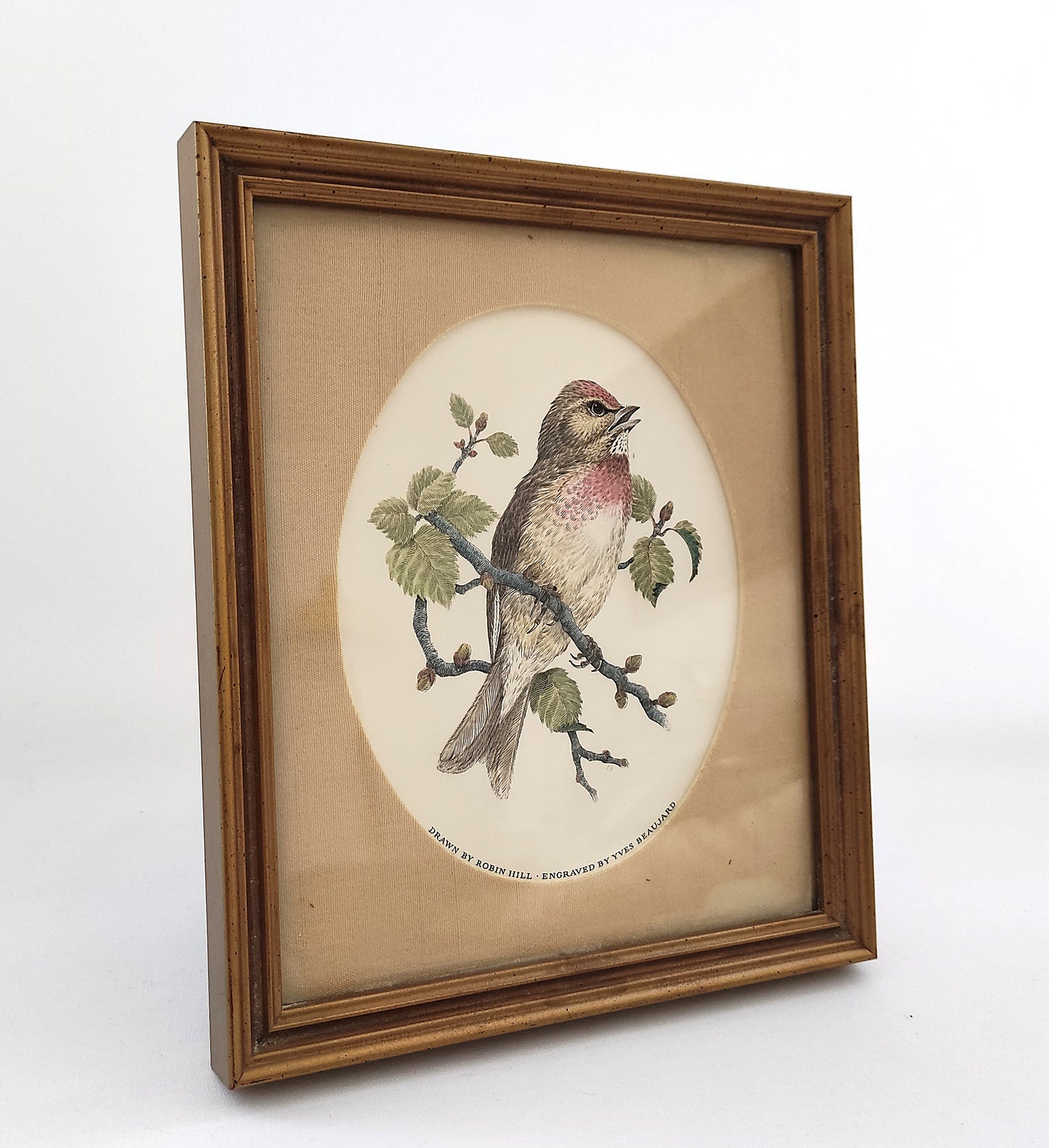 Cadres à oiseaux
