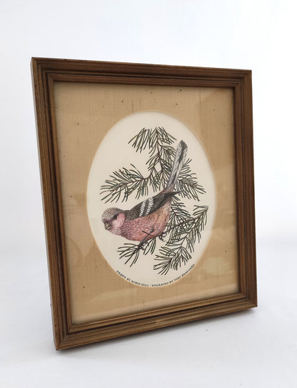 Cadres à oiseaux