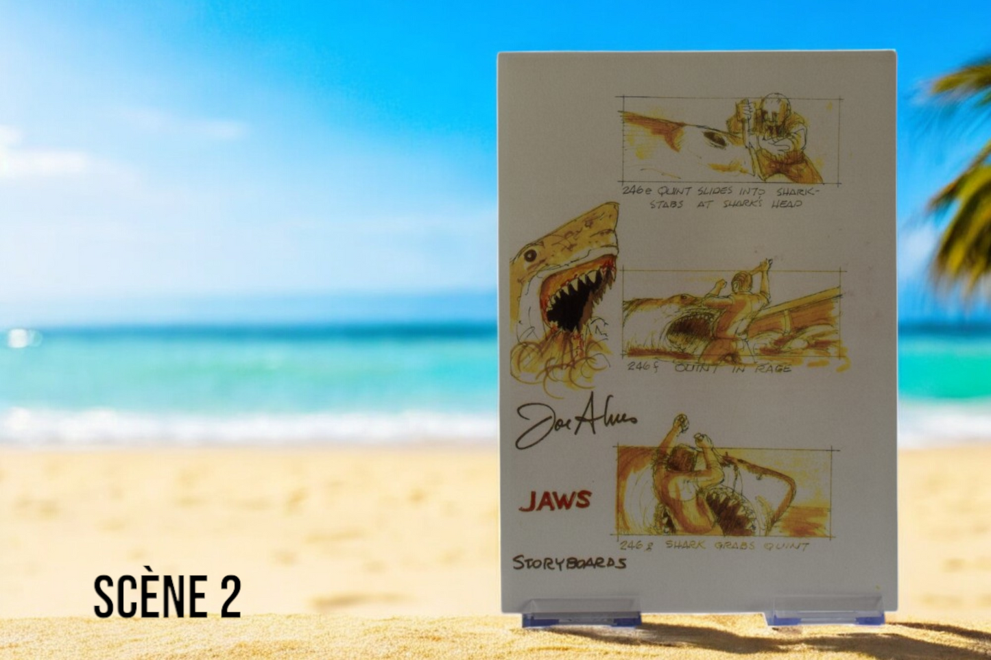 Requins en storyboard