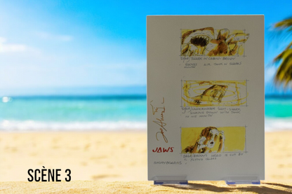 Requins en storyboard
